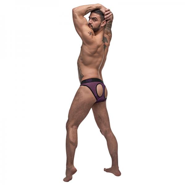 Male Power Airotic Mesh Butt Out Bikini Ppl Small