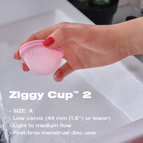 Ziggy Cup 2 Size A